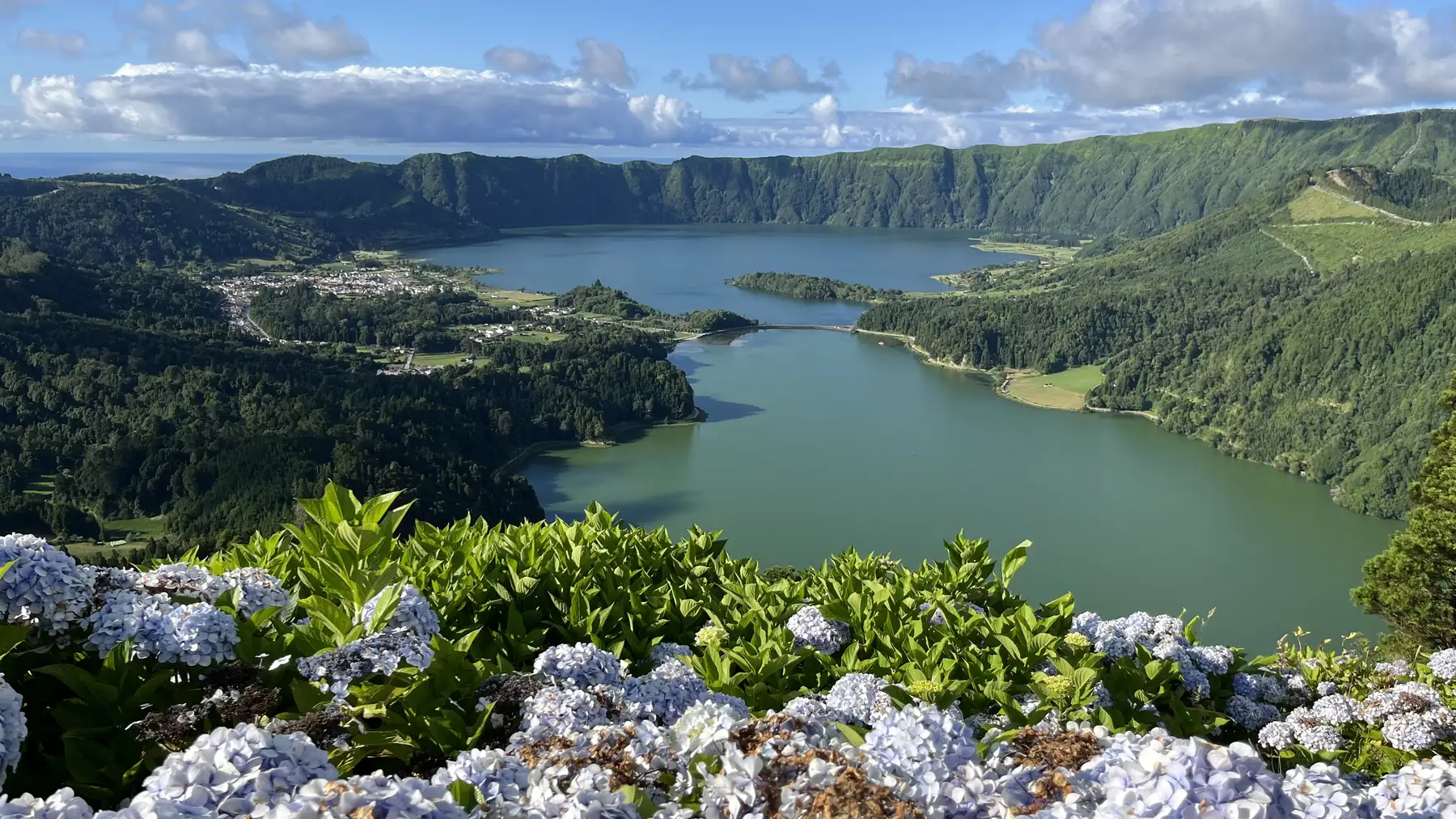 Hortênsias a emoldurar as lagoas gémeas das Sete Cidades
