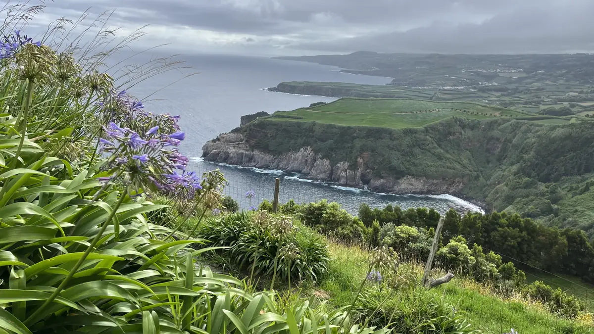 Flores silvestres no topo de uma falésia sobre uma ampla planície costeira verde